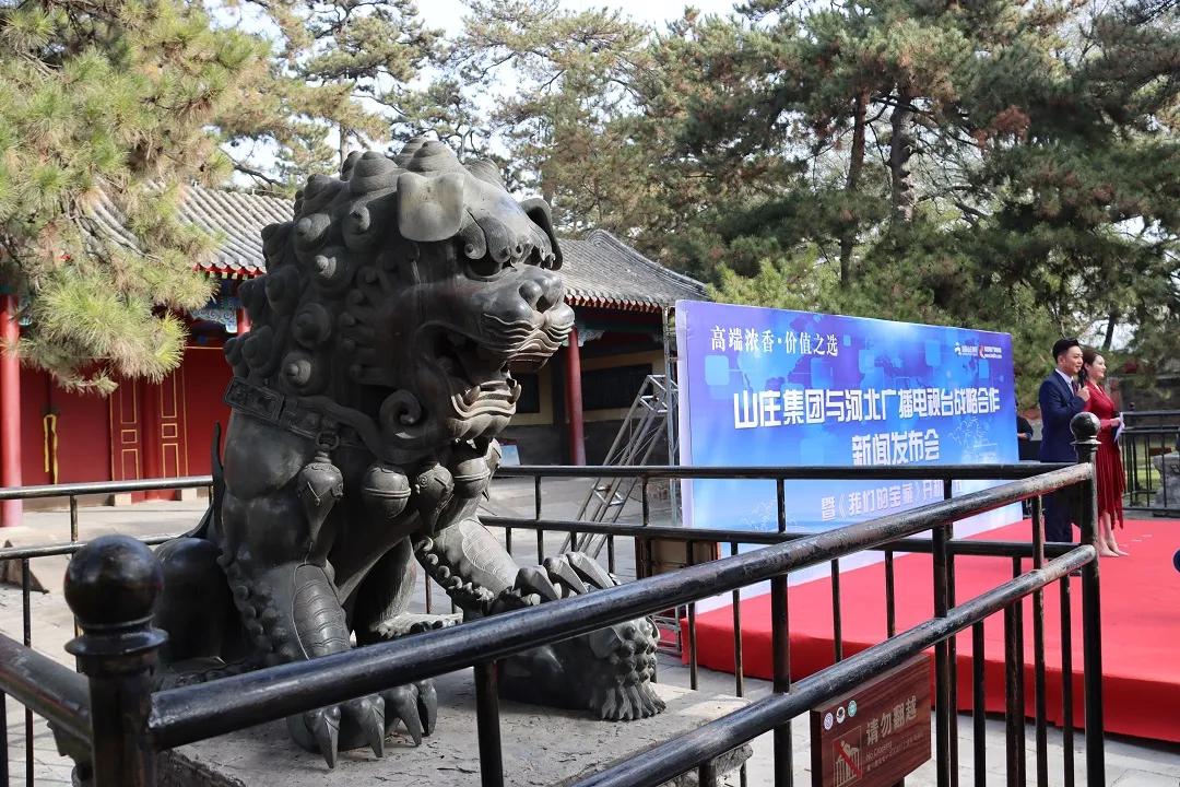 共建大IP,山庄集团联合河北卫视打造《我们的宝藏》