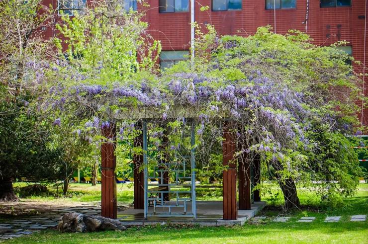 北京航空航天大学专业录取分排名:王牌专业反而垫底?没想到