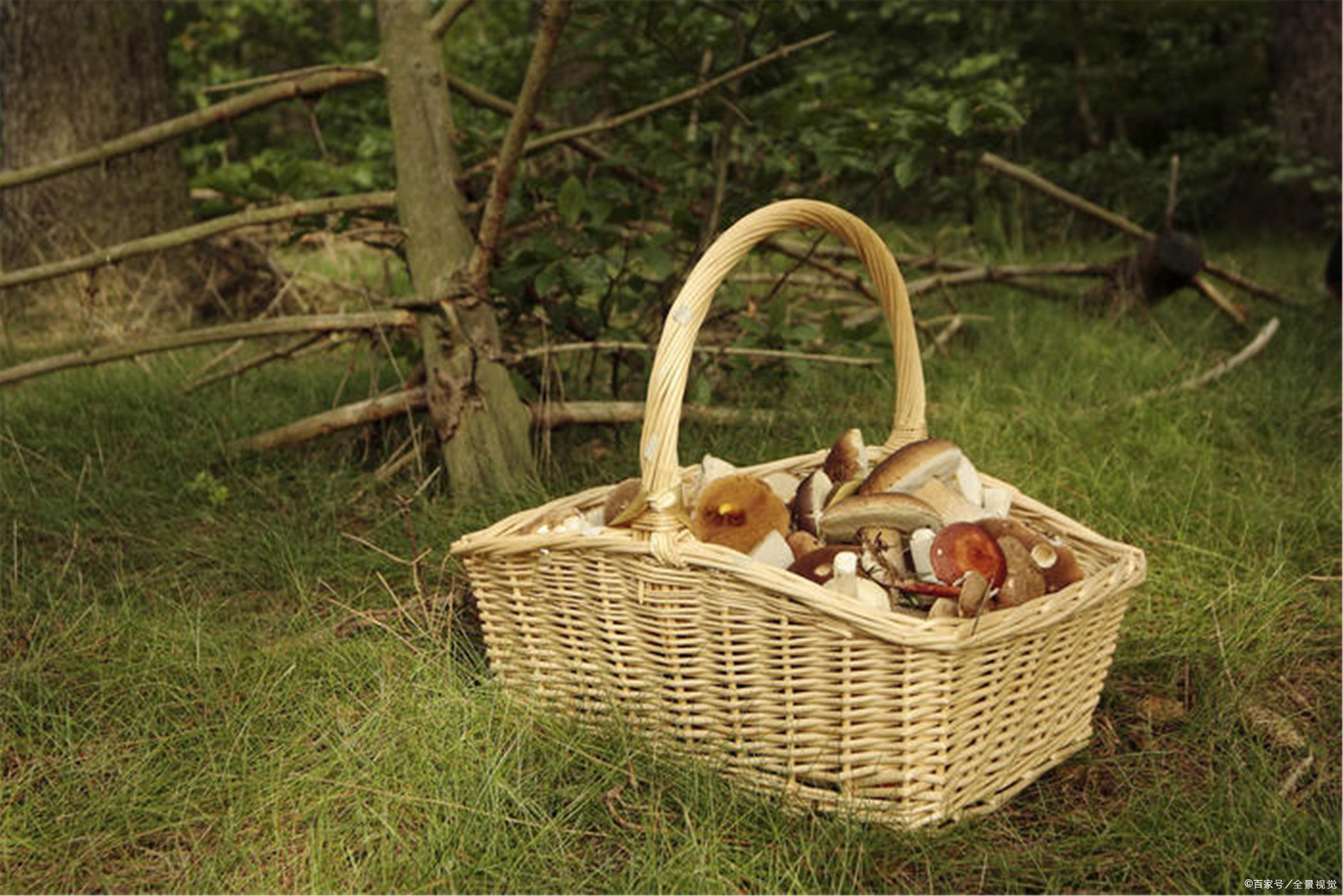 高中英语形容词和副词用法,高考英语形容词和副词的用法总结