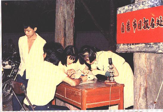 深圳群众艺术普及展演,深圳群众文化集中展示