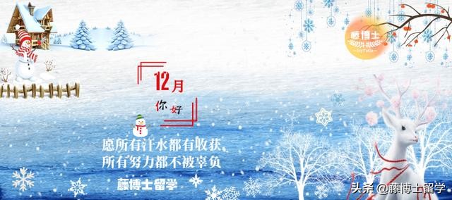 上市公司老总生活,上市老板的生活