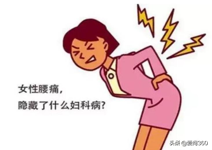 女性左侧腰下部疼痛要警惕四种病,女性右下腹隐痛后腰也痛怎么回事