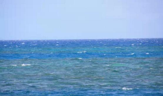 泳池水为什么会变成乳白色,泳池水变色怎么解决