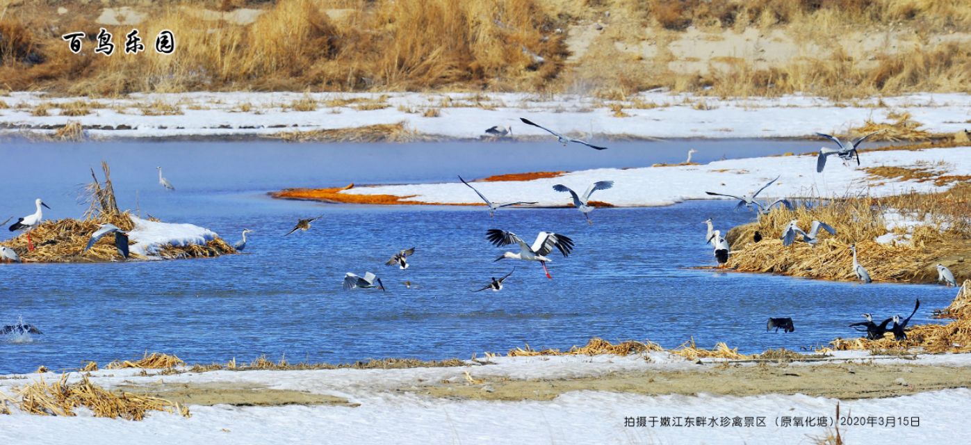 榻愰綈鍝堝皵瀚╂睙涓滄按鐝嶇鍏洯,榻愰綈鍝堝皵瀚╂睙涓滄按鐝嶇婀垮湴鍏洯