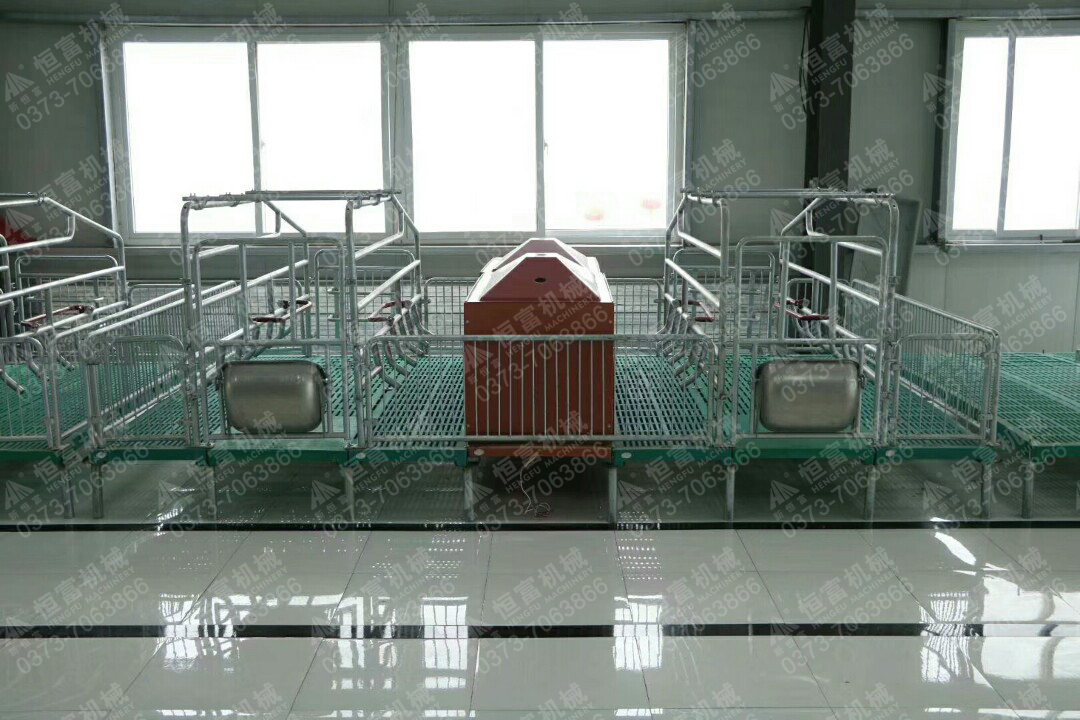 母猪落地产床带漏粪板,母猪限位栏和产床有什么区别