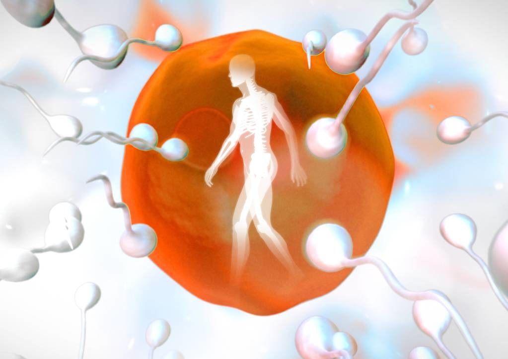 不动精子和死精区别,男性不育症之无精子症