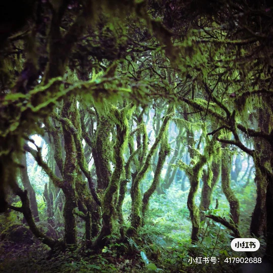 昆明中秋遛娃好去处免费,昆明周边自驾游攻略周末旅游推荐