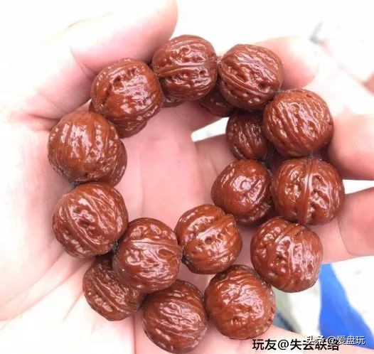 放了2年的凤眼,翻出来,虫子能组一个篮球队了