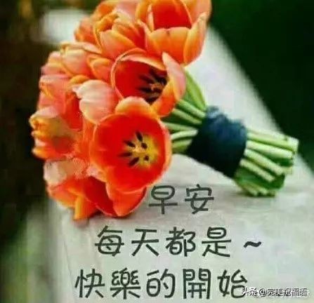 微信早上好最暖心祝福问候语图片,早上好暖心问候祝福短句图片