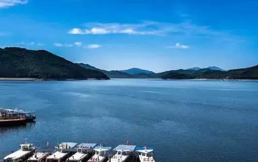 沈阳人注意！去这几个地方的动车打折了！6.5至8折！目的地的春天美成仙境！