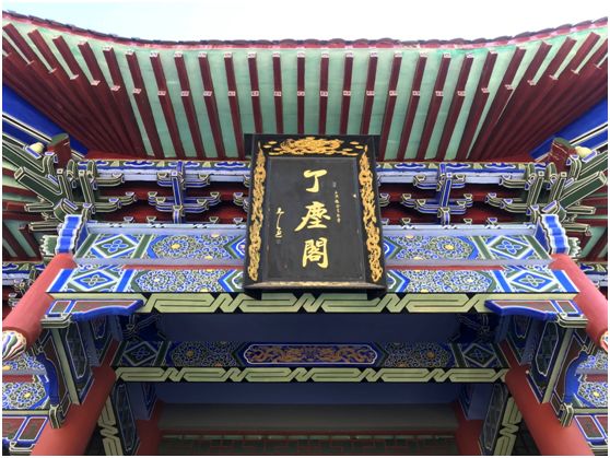 翁源东华地窖酒,韶关翁源赏荞麦花