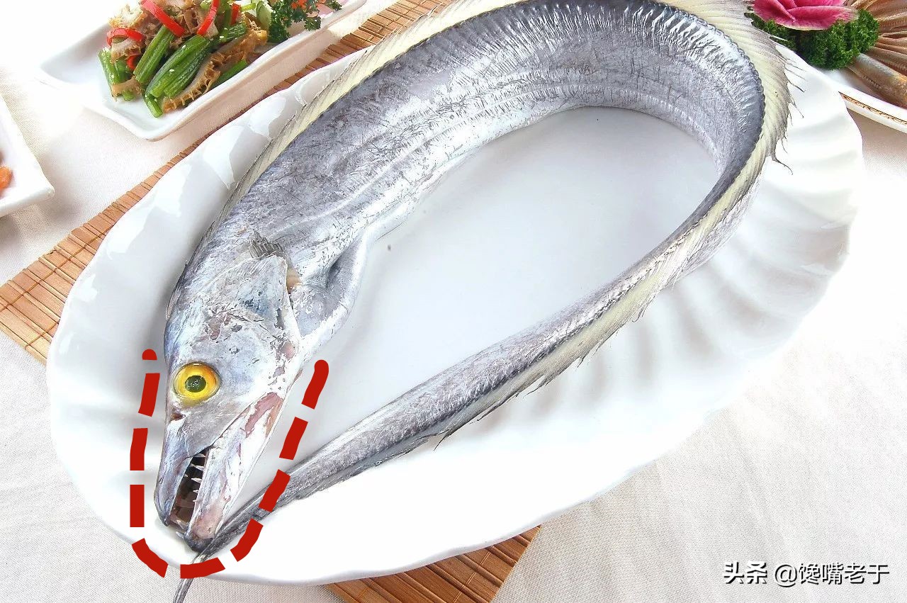 买带鱼黄眼睛和黑眼睛哪种最好,买带鱼黑眼珠好还是黄眼珠好