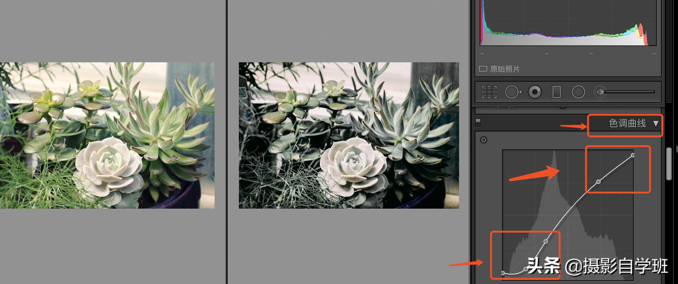 风景照片调色教程lr调色思路,lr修图红色怎么调成青色