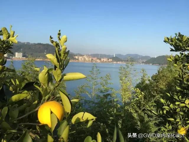 为了钓鱼在水库修一座别墅,最惊艳的民宿设计图