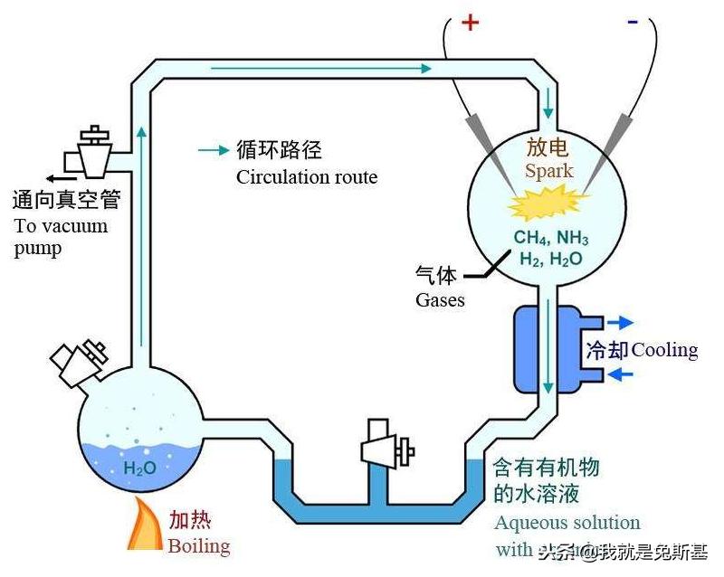 生命从哪里来?宇宙产生生命概率是几乎不可能,但是生命就在这里