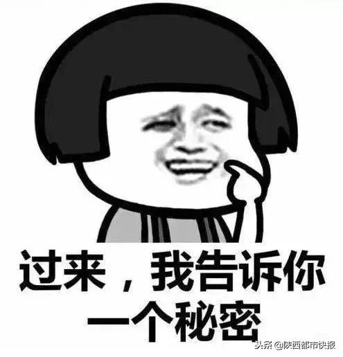 西安市液化天然气要调价吗,天然气价格上涨燃气车何去何从