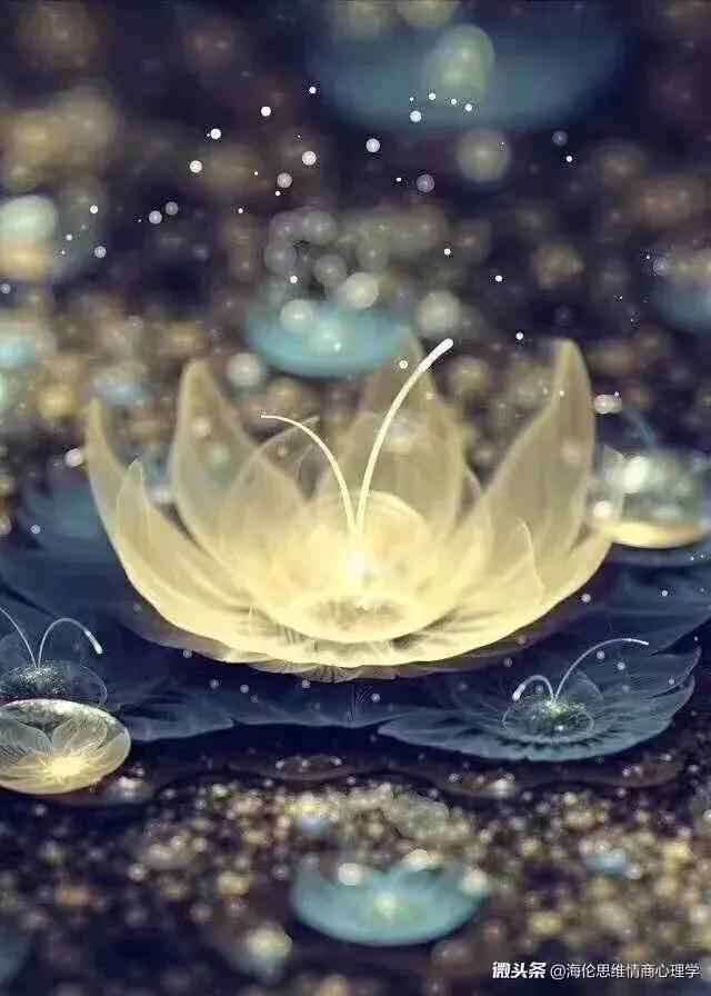 真正的爱是什么意思呢,真正的爱是什么文案短句