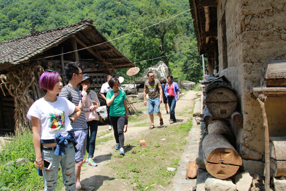 野蜂的口粮极为珍稀,一年等一次,再危险我们也要去“盗”一些!