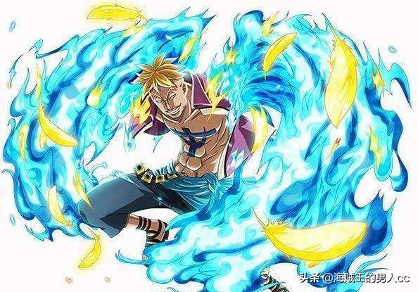 海贼王中的所有自然系恶魔果实,海贼王已经出现的动物系恶魔果实