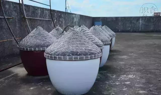 潮汕人说的鱼露,潮汕鱼露什么味道