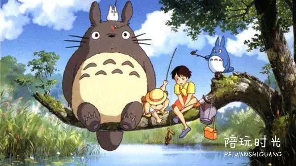 龙猫怎么选好看的,龙猫单纯好看吗