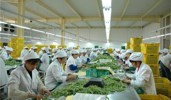 100个农村小型办厂项目,免费农村投资办厂创业行业有哪些