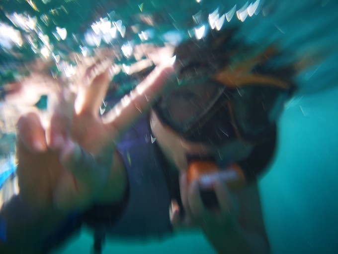 蛋岛蜜月岛,蜜月岛皮皮岛蛋岛一日游