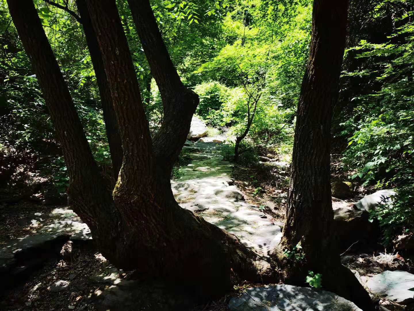 打卡北京双龙峡风景区,十里溪流百潭瀑布,北方小九寨名不虚传