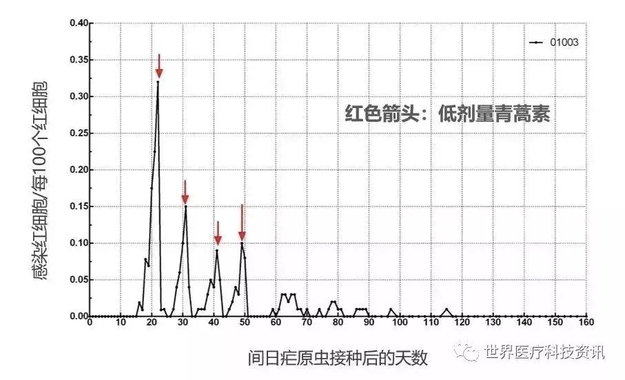 疟原虫治疗癌症叫停,疟原虫治疗癌症最新消息