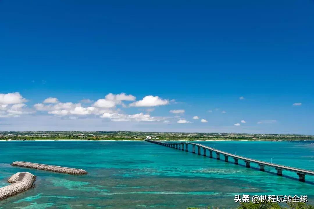 冲绳2月看樱花,冲绳哪里看樱花