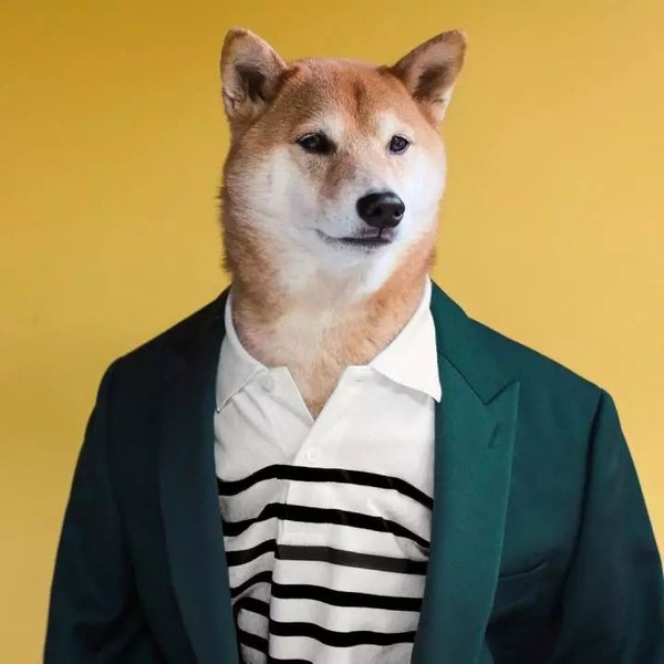 帅到各种时尚大牌求合作，它居然是条狗……你们信吗？