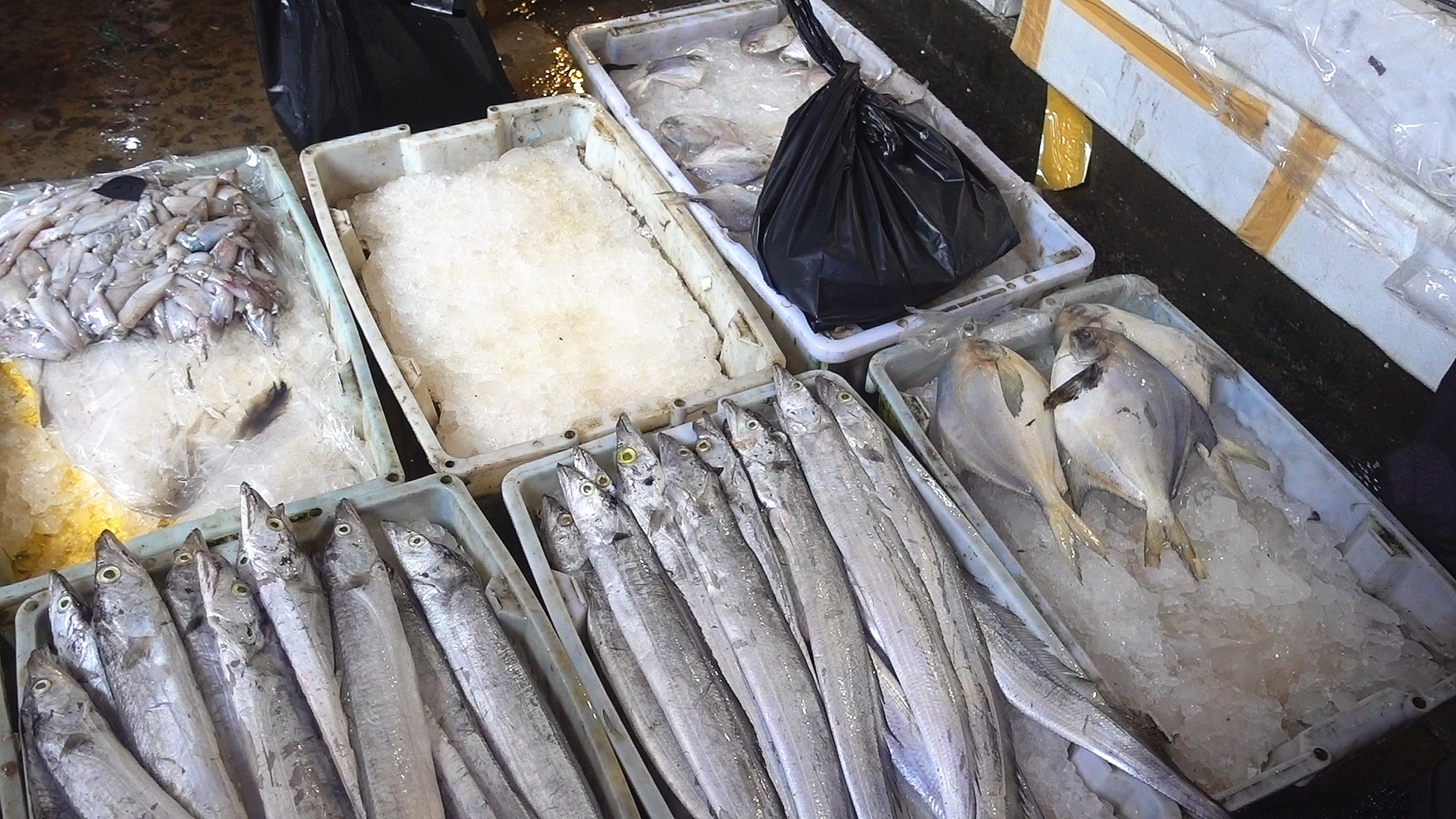 舟山品味海鲜,舟山人评象山海鲜