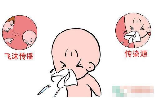 宝宝百日咳怎么治疗最有效,宝宝百日咳的注意事项