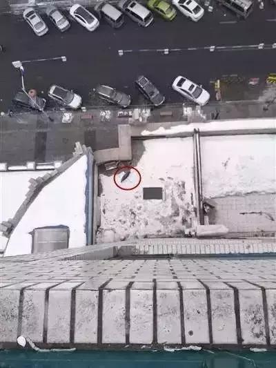 三观正的动画片,00后三观正动画片