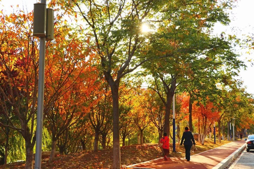 辽宁省高校(三十二)大连外国语大学