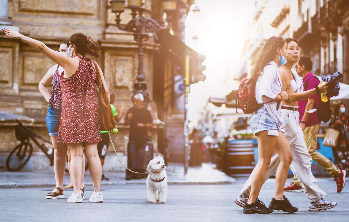 vans必买球鞋,vans黑白单品