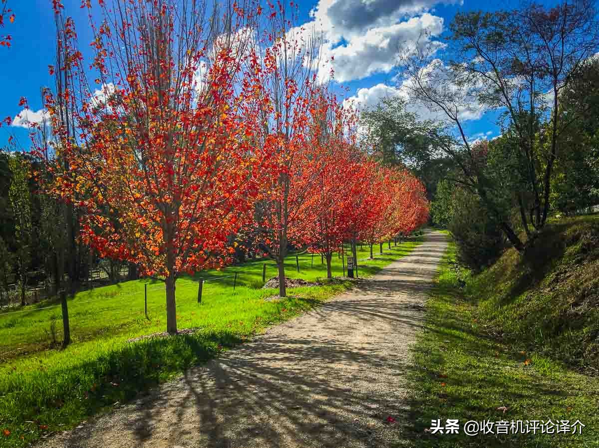 收音机怎样抗空气中的信号干扰,怎么干扰收音机信号