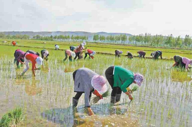 榆林农业产业园区地址位置,榆林国家现代农业科技示范园