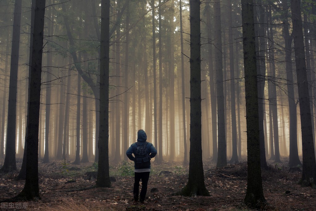 古言微灵异小说推荐,灵异接地气的小说推荐言情