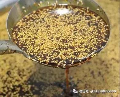 四川烹饪大师刘全刚,刘全刚大师做菜视频