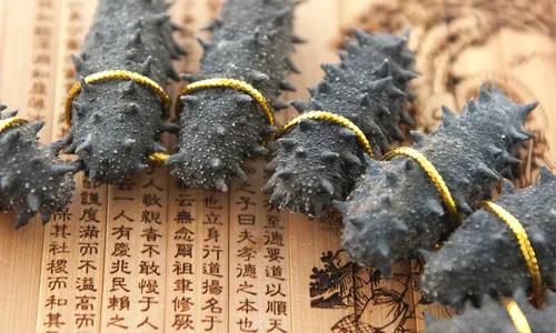 冬捕海参,冬病夏治海参