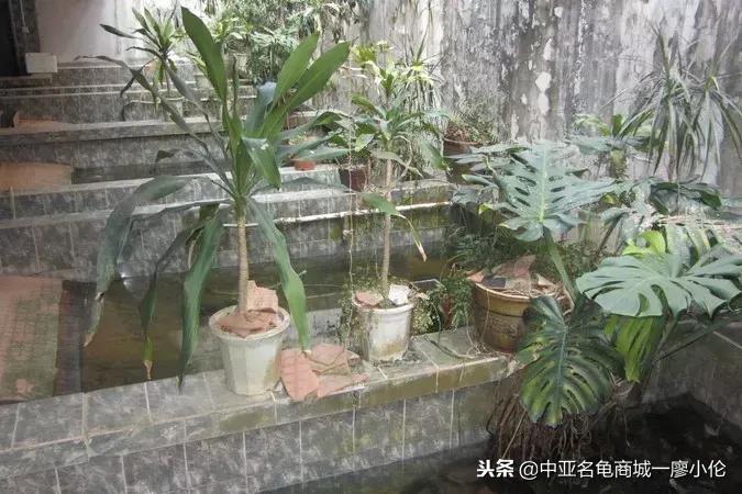 中国养殖市场,中国养殖的发展及现状