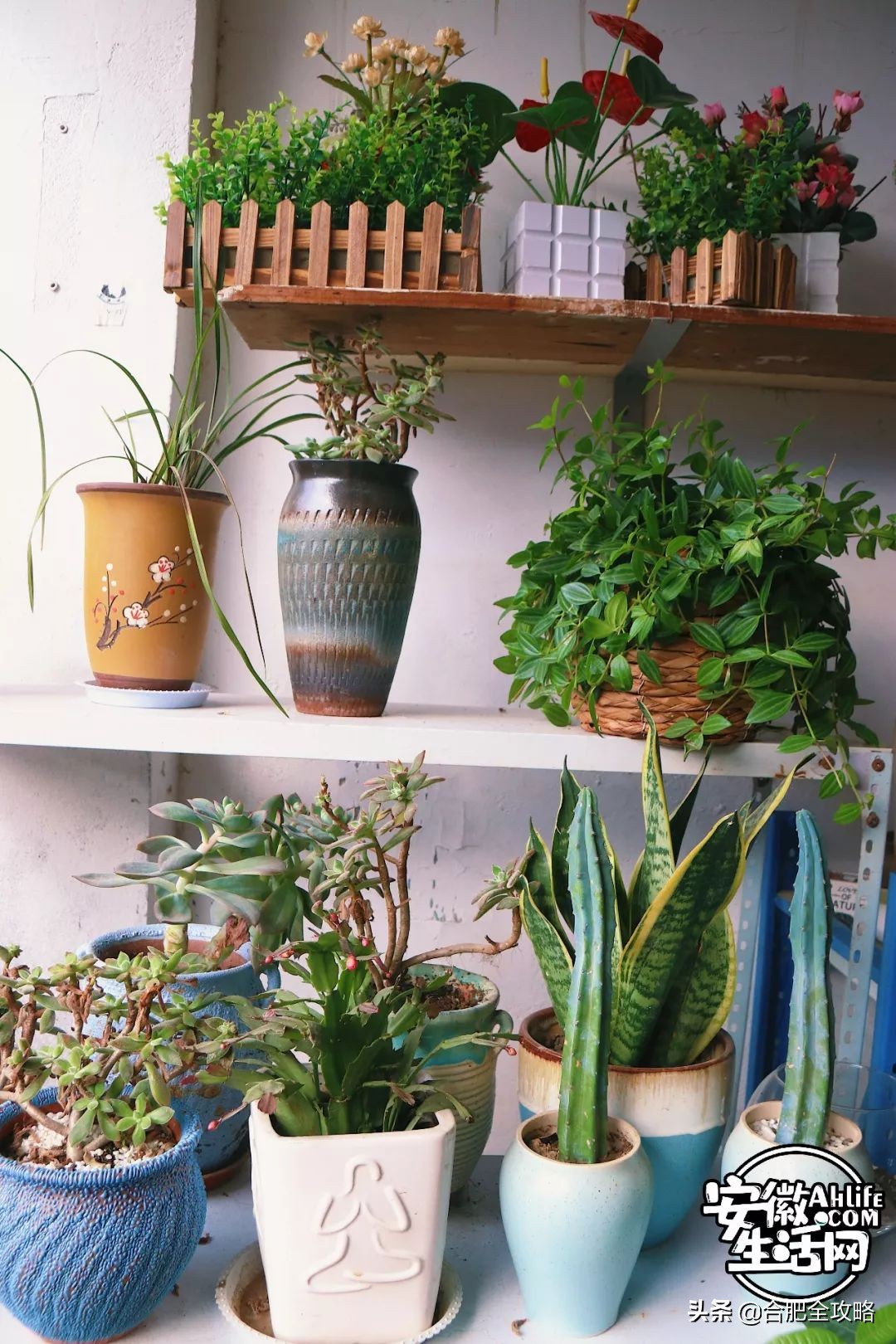 老周谷堆水果批发市场,老周谷堆古玩市场