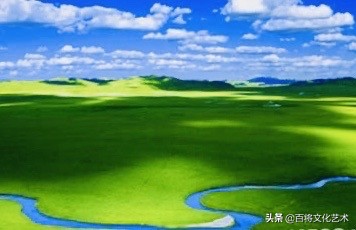 美文大兴安岭,美文油菜花