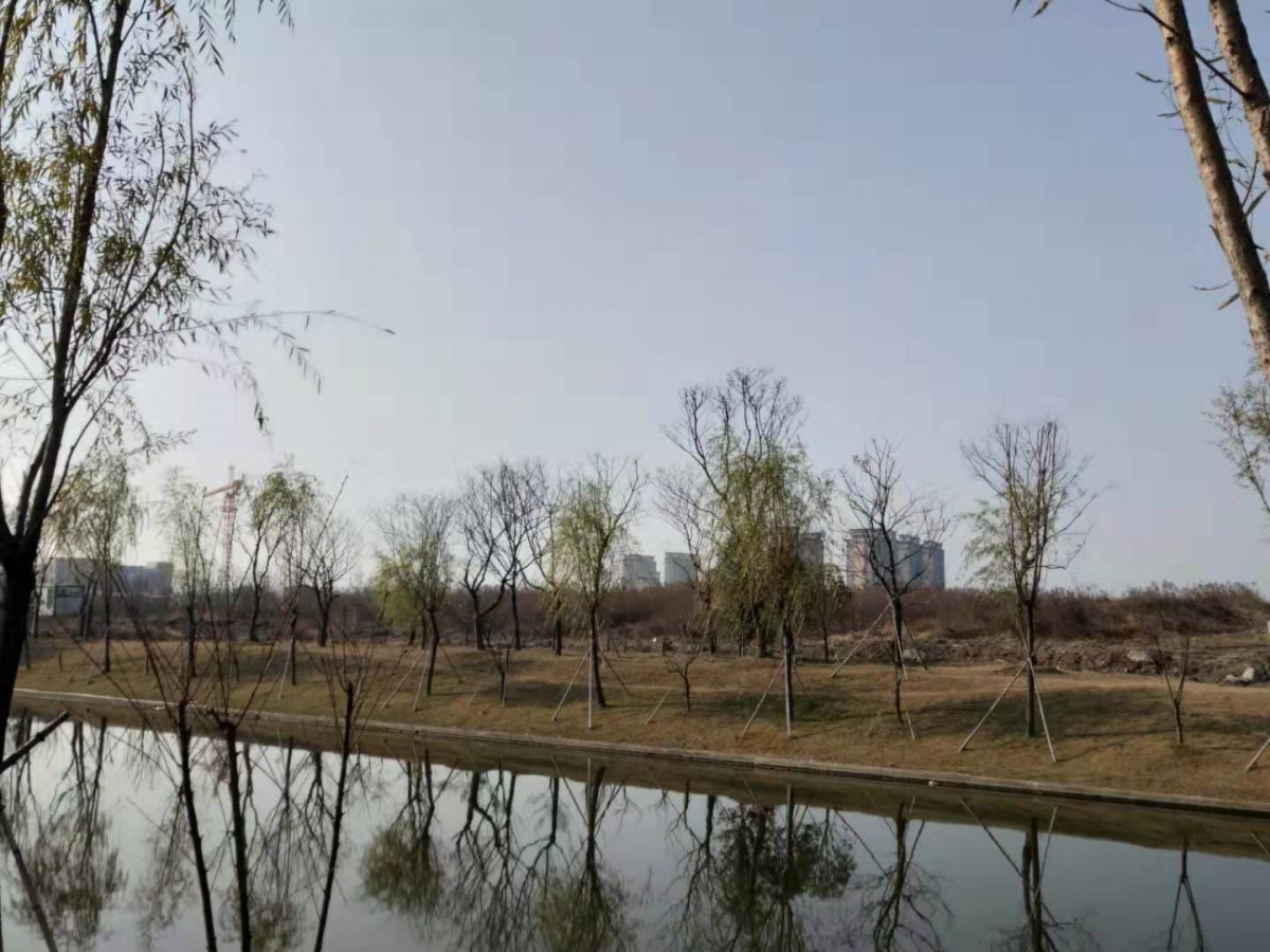 扬州树人中学最新规划,扬州树人高中转为公办计划