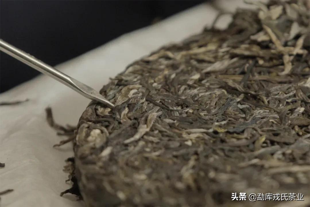 盼了一年的好茶,勐库戎氏古树茶2010秋茶