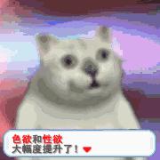 到底一个星期啪几次才算正常?