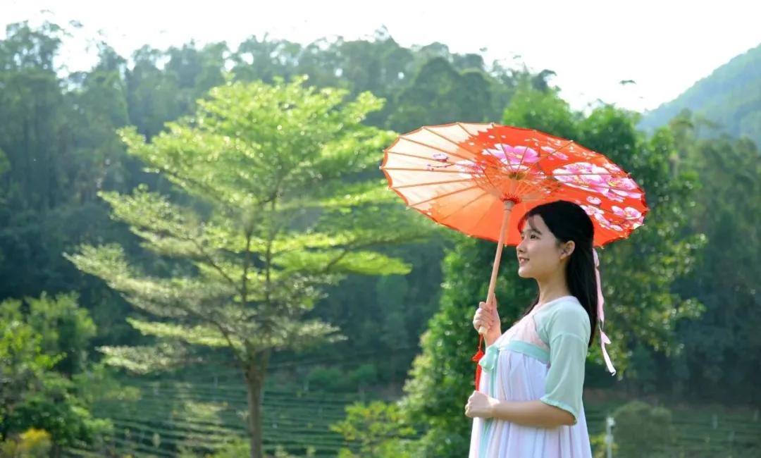 中山风景打卡点,广州秋游野餐好去处