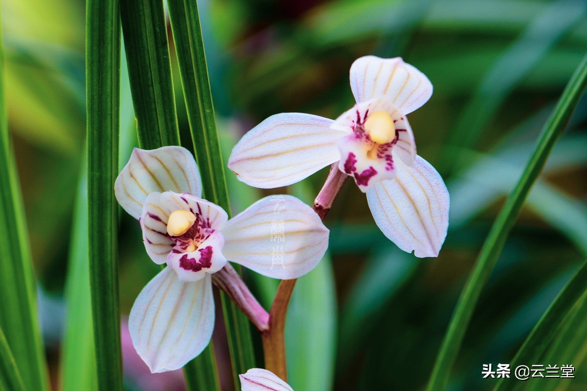 看不见的忧伤是什么歌,看不见的忧伤完整版