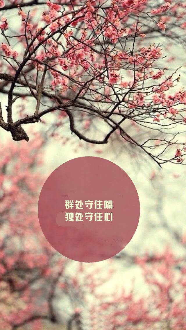 非主流葬爱家族背景图,非主流葬爱家族图片搞笑